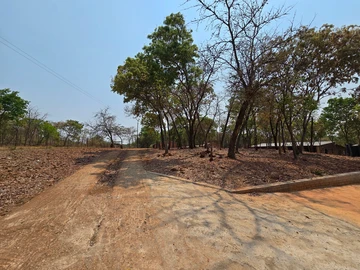 Farm & Agricultural Land