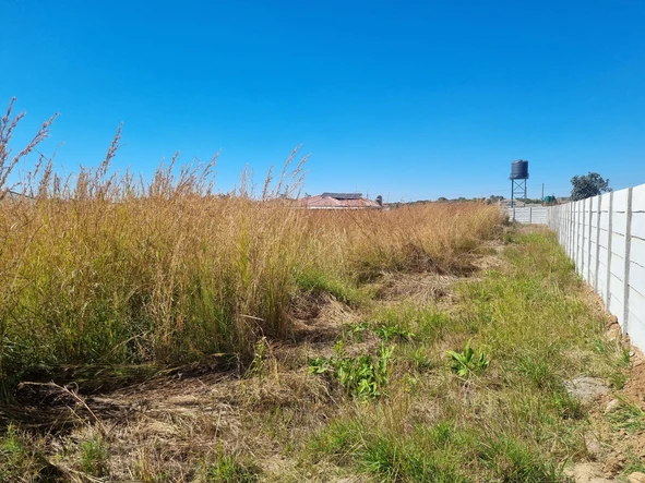 Stands & Residential Land
