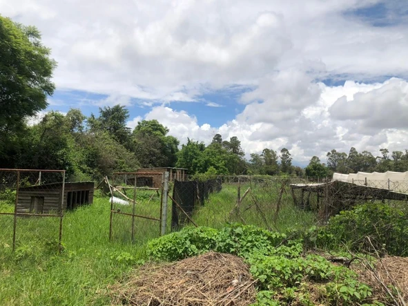 Farm & Agricultural Land