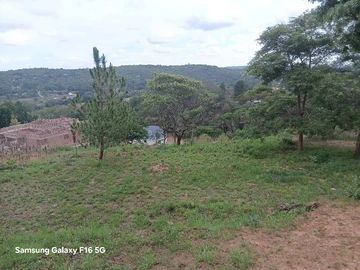 Stands & Residential Land