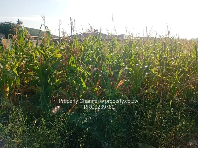 Corner Stand – Developer Cession