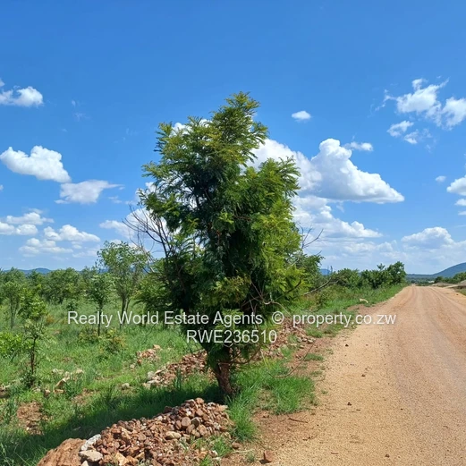 Masvingo Clipsham Stand For A School 