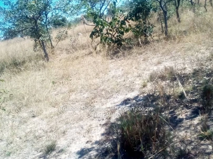 5ha Arable & Grazing Farm for Sale in Mvurwi