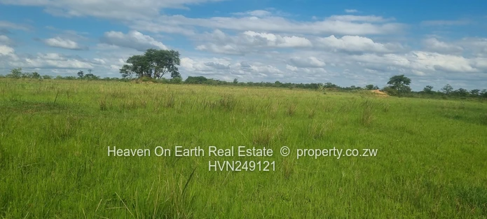 Plots for sale