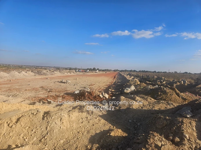New! Special Economic Zone!