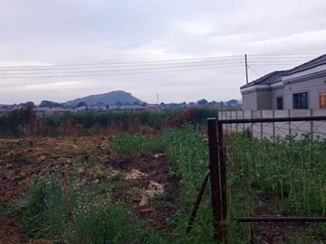 Stands & Residential Land