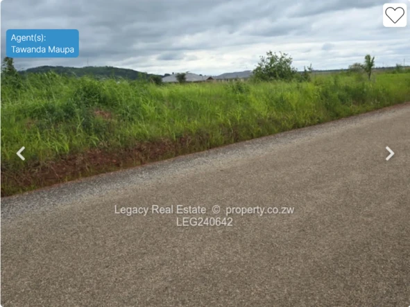 Stands & Residential Land