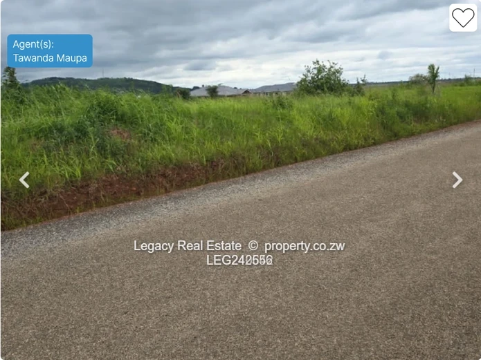 . Exclusive Haydon Park Residential Plots – Clean Paperwork & Ready Deeds