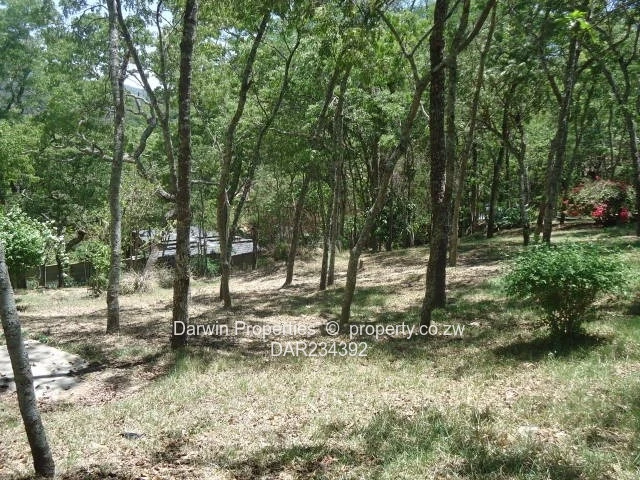 Far From The Madding Crowd 