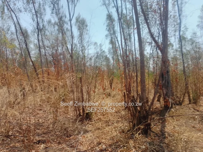 109,174ha Whitecliff Farm — Subdivision Potential 