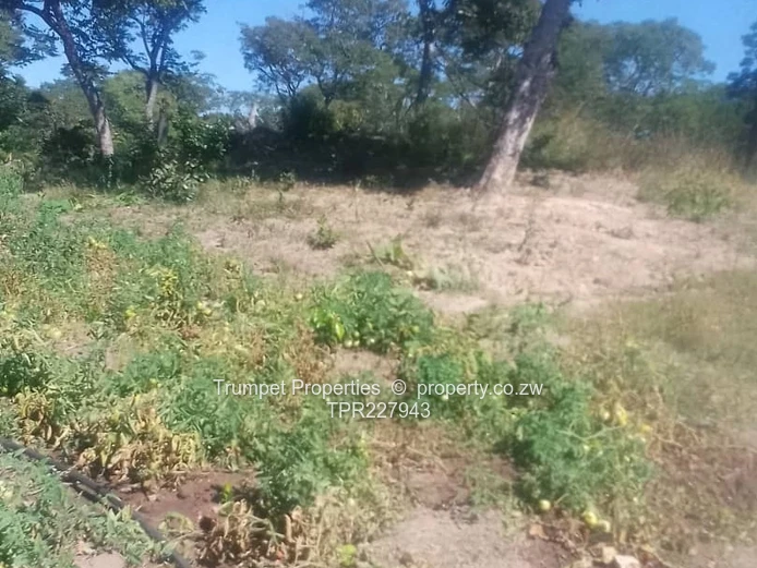 Plot For Sale