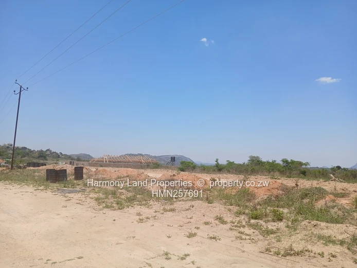 Executive Low Density Stands- Ridgemont Park, Rusape (Sole Mandate)