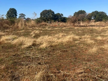 Commercial & Industrial Land