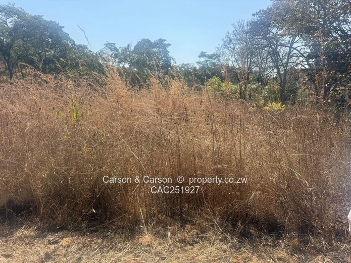 Residential stand for sale