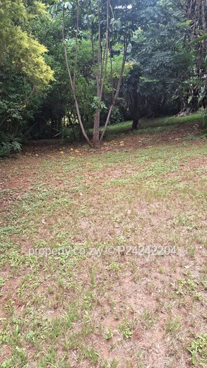 Greystone Park $185K