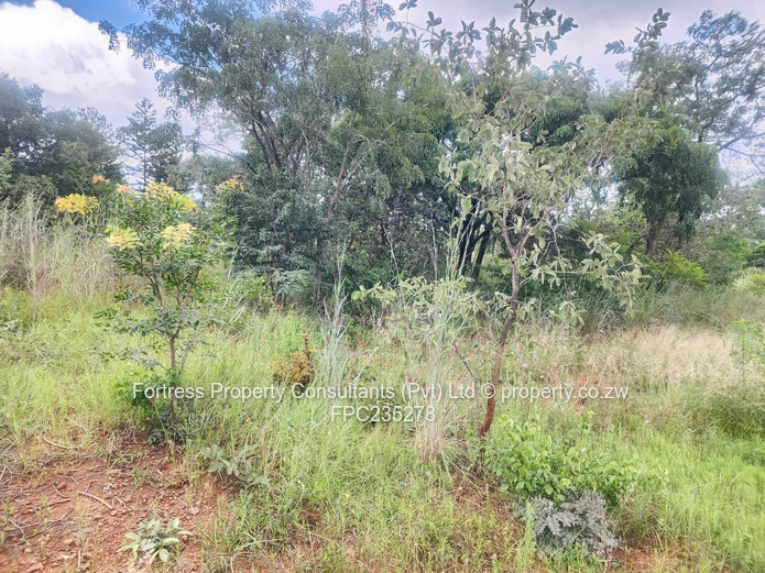 Quinnington Prime Land – Exclusive Opportunity