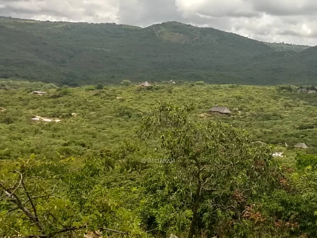 Farms & Agricultural Land for Sale in Nyanga P11189204