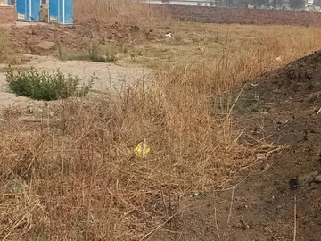 Commercial & Industrial Land