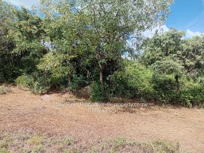 Msasa Industrial Stand For Sale