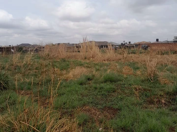 Stands & Residential Land
