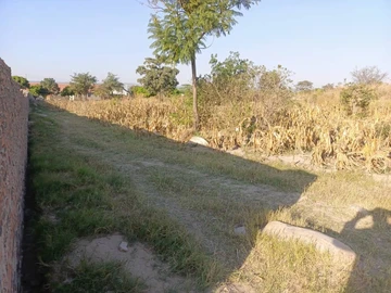 Land