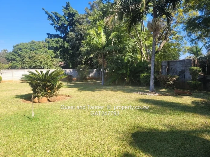 New Marlborough Neat and Spacious Family Home - 4 Bedrooms to Rent