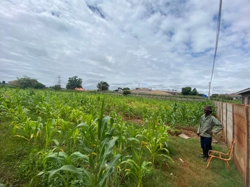Stands & Residential Land