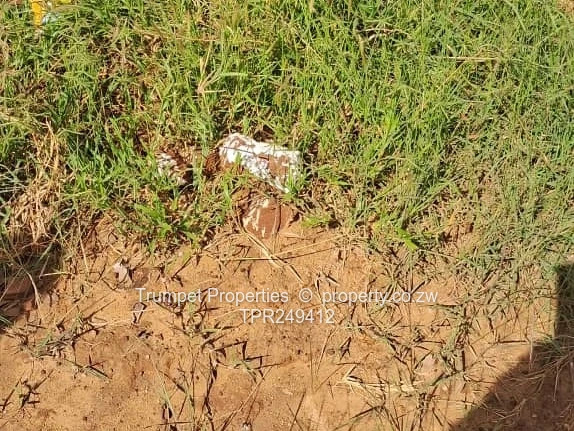 10ha Zvimba Farm — Fertile Red Arable Soil & Municipal Water