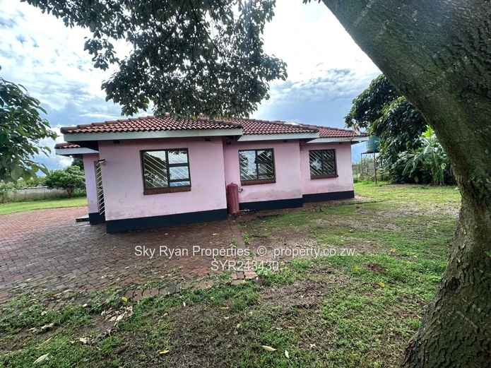 Hogerty Hill Stand For Sale