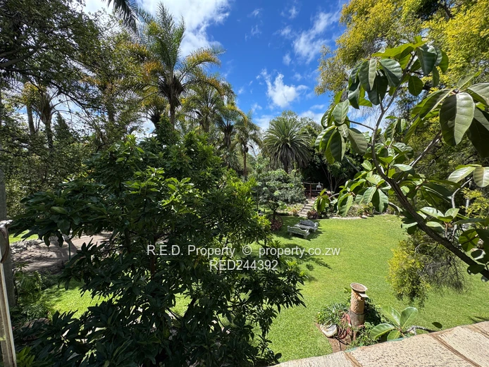 Stunning Family Residence In Hillside!