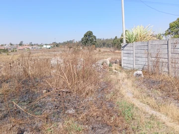 Stands & Residential Land