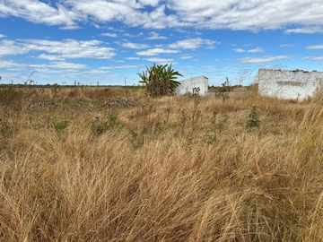 Farm & Agricultural Land
