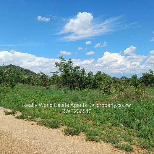 Masvingo Clipsham Stand For A School 