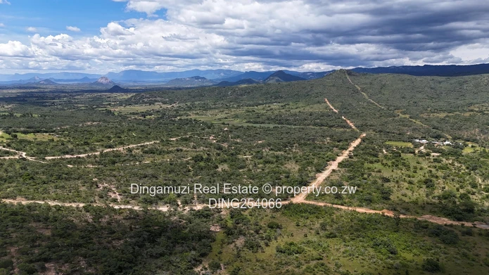 Nyanga Agricultural Plots