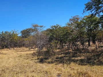 Farm & Agricultural Land