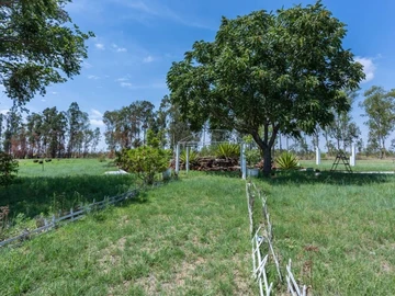 Farm & Agricultural Land