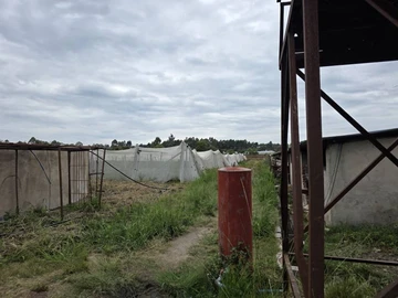 Farm & Agricultural Land