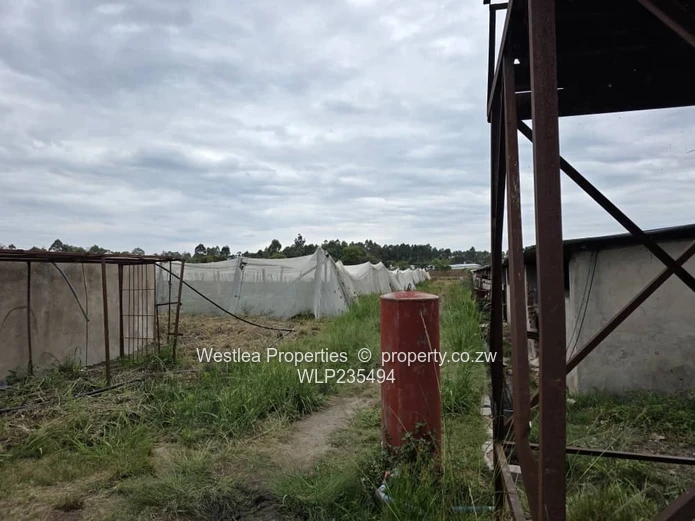 An opportunity not to miss