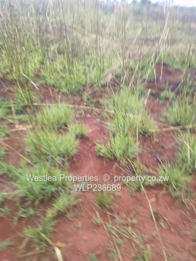 An opportunity not to miss