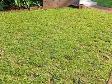 2 Bedroom Garden Flat