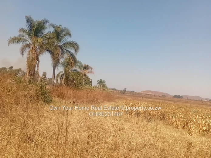 Mount Hampden Plot For Sale 
