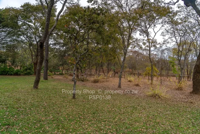 6 Truly magnificent well treed Acres