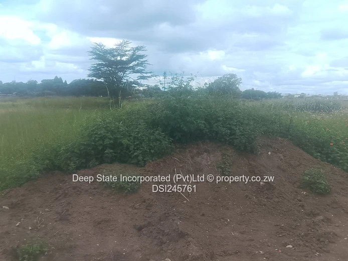 Mt pleasant/Vainona stand for sale 