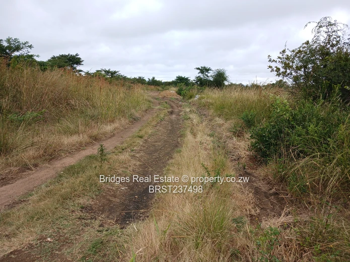 Fast establishing suburb in Gweru North! (Sole Mandate)