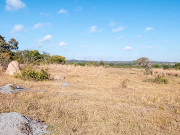 Farm & Agricultural Land