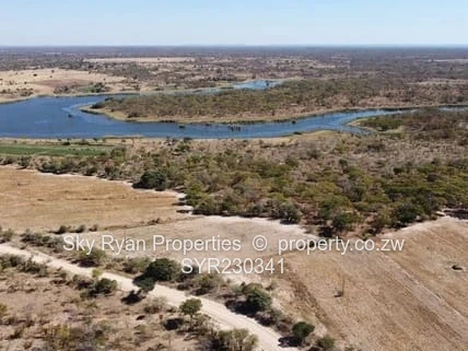 Investment Opportunity: Battlefield Farm, Kadoma