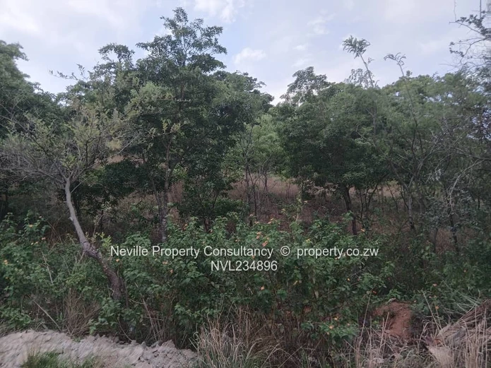 Glenlorne (Chishawasha)