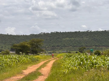 Farm & Agricultural Land