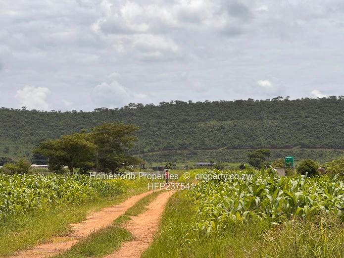 Kintyre Estate Agro Residential Property for Sale (Bulawayo Road) (Sole Mandate)
