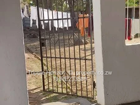 Meyrick park house for sale